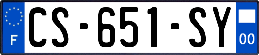 CS-651-SY