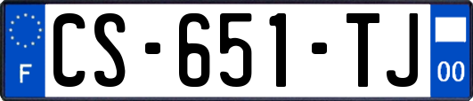 CS-651-TJ