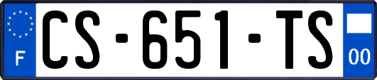 CS-651-TS