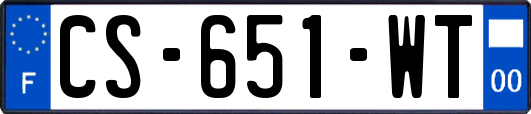 CS-651-WT