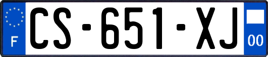 CS-651-XJ