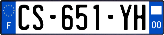CS-651-YH