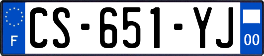 CS-651-YJ