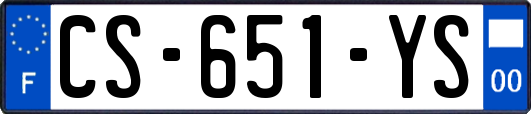CS-651-YS