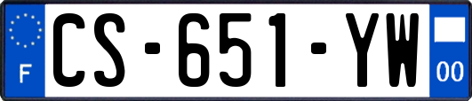 CS-651-YW