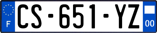 CS-651-YZ