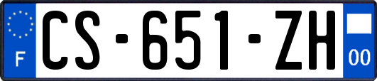 CS-651-ZH