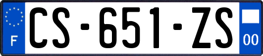 CS-651-ZS