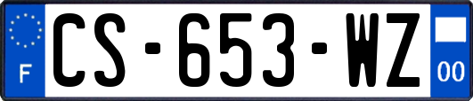 CS-653-WZ