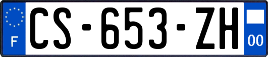 CS-653-ZH