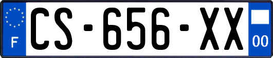 CS-656-XX