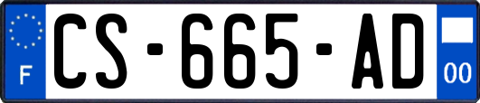 CS-665-AD