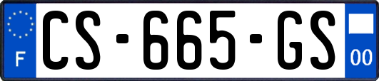 CS-665-GS