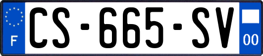 CS-665-SV