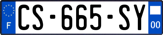 CS-665-SY