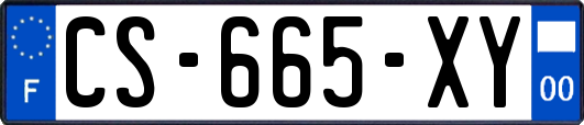 CS-665-XY