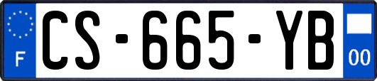 CS-665-YB