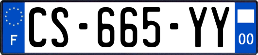 CS-665-YY