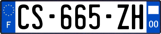 CS-665-ZH