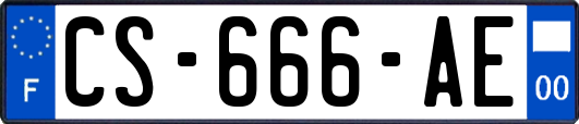 CS-666-AE