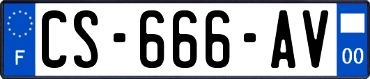 CS-666-AV