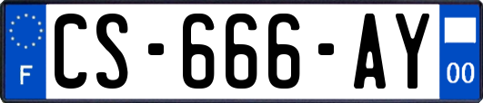 CS-666-AY