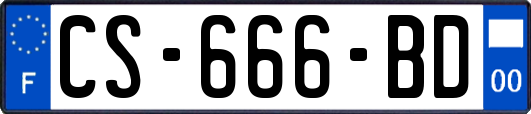 CS-666-BD