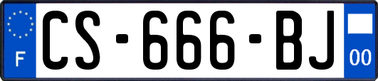 CS-666-BJ