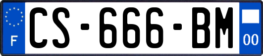 CS-666-BM