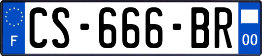 CS-666-BR