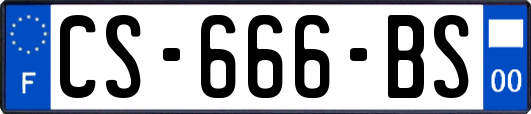 CS-666-BS