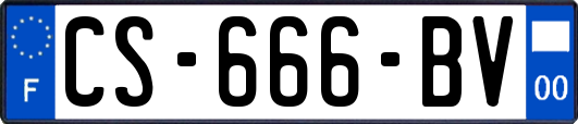 CS-666-BV