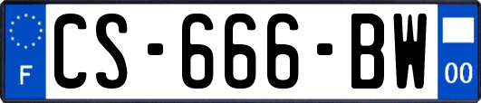 CS-666-BW
