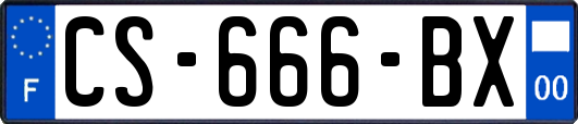 CS-666-BX