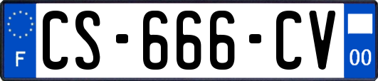 CS-666-CV