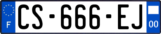 CS-666-EJ