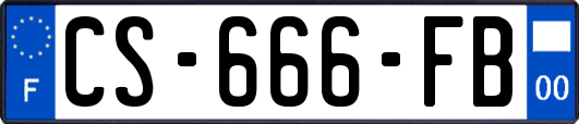 CS-666-FB