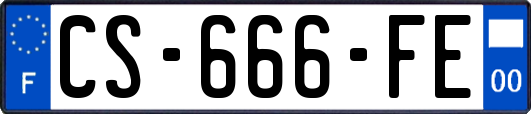 CS-666-FE