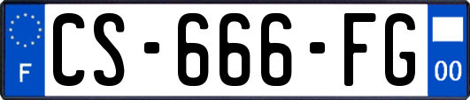 CS-666-FG
