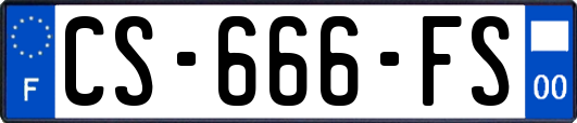 CS-666-FS