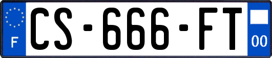 CS-666-FT