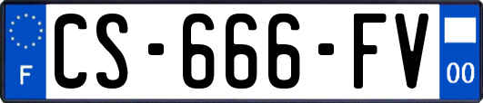CS-666-FV