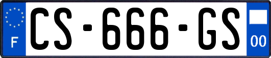 CS-666-GS
