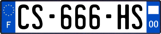 CS-666-HS