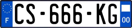 CS-666-KG