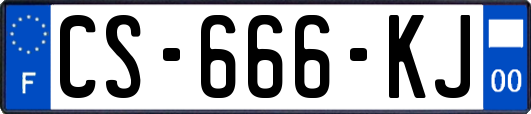 CS-666-KJ