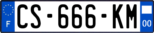 CS-666-KM