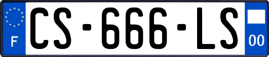 CS-666-LS