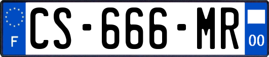 CS-666-MR