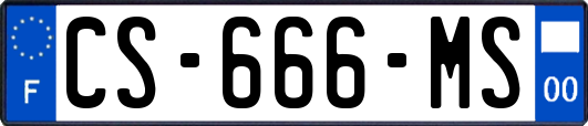 CS-666-MS